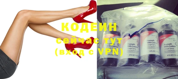 крисы Козельск