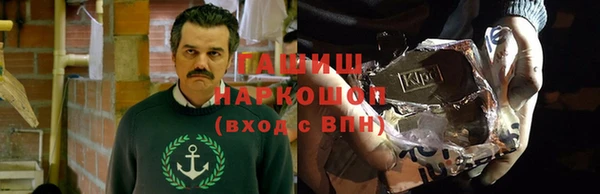 крисы Козельск