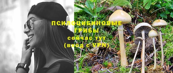 крисы Козельск