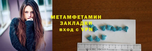 крисы Козельск