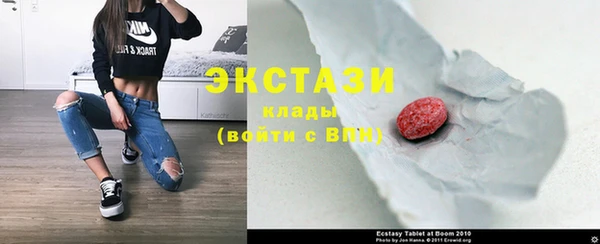 крисы Козельск