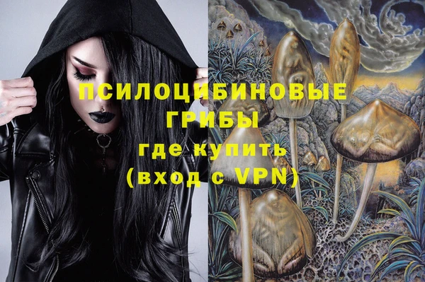 крисы Козловка