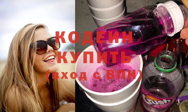 крисы Козельск