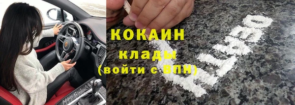 крисы Козельск
