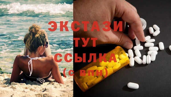крисы Козловка