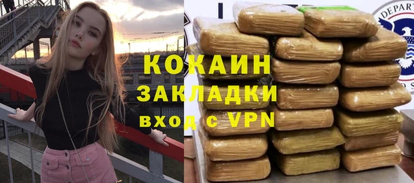 крисы Козловка