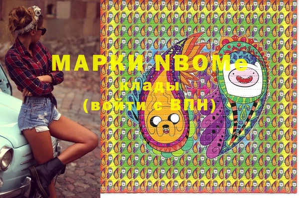 крисы Козловка