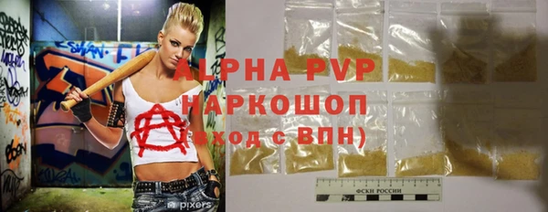 крисы Козельск