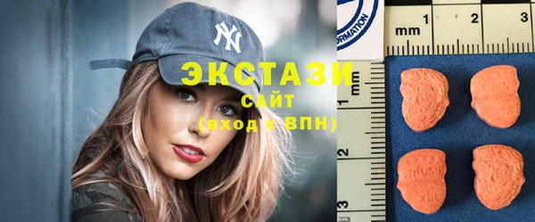 крисы Козельск