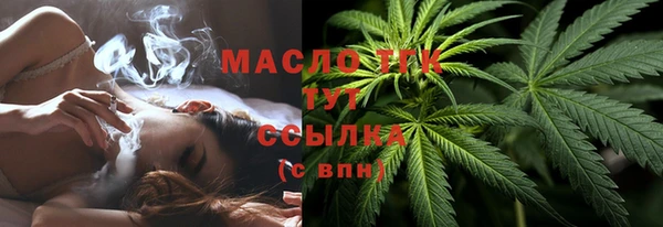 крисы Козловка